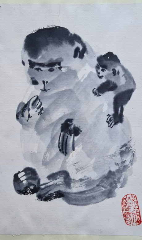 JWE224-Guenon et guenuche